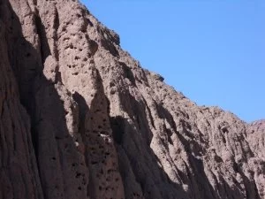Casa de los Loros